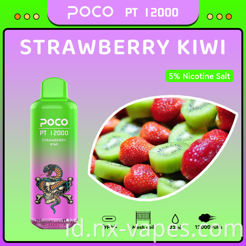 PT 12000 19